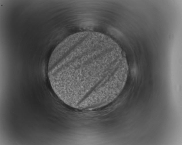 X0000088701060200706282018