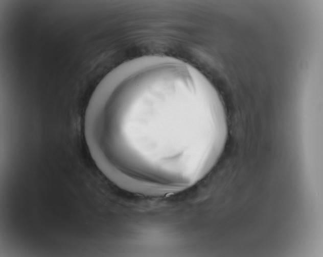 X0000088701061200706282018