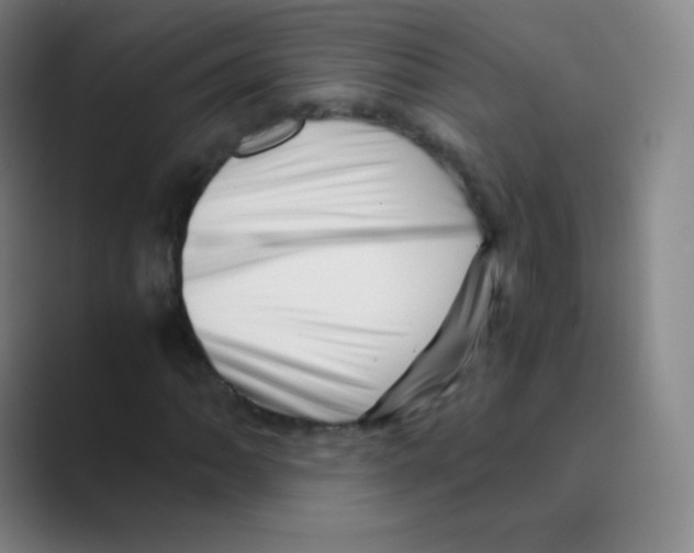 X0000088701062200706282018