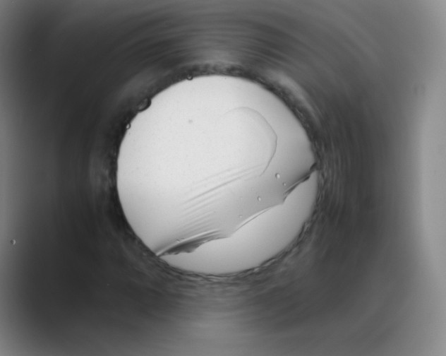 X0000088701064200706282018