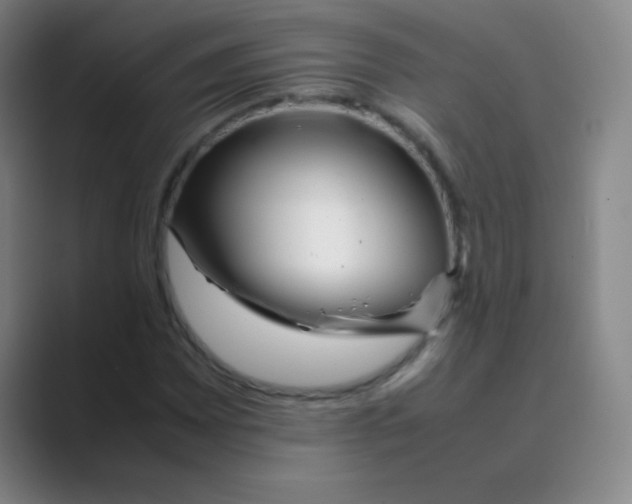 X0000088701065200706282018