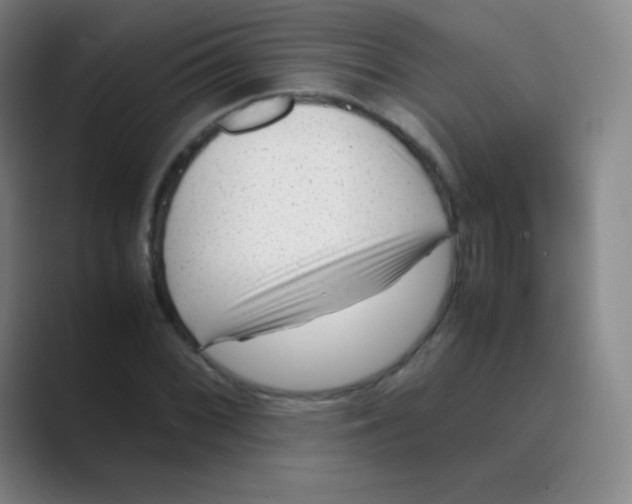 X0000088701068200706282018