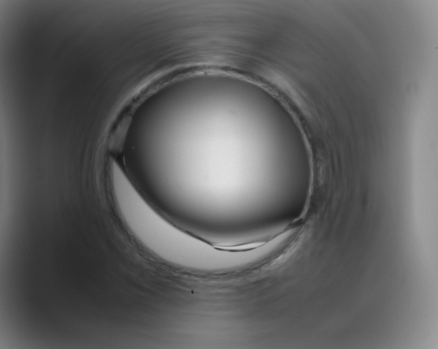 X0000088701069200706282018