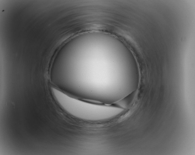 X0000088701073200706282018