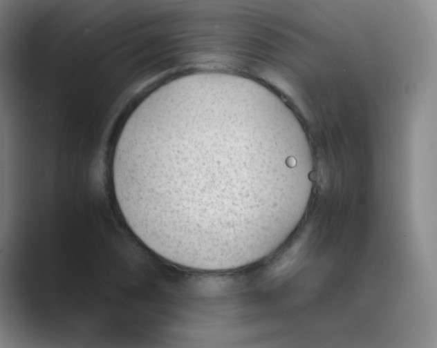 X0000088701074200706282018