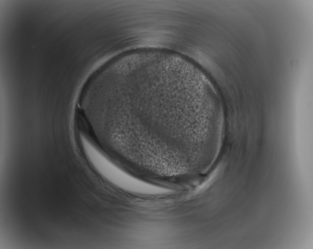 X0000088701077200706282018