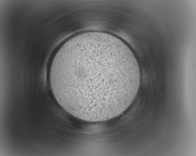 X0000088701078200706282018