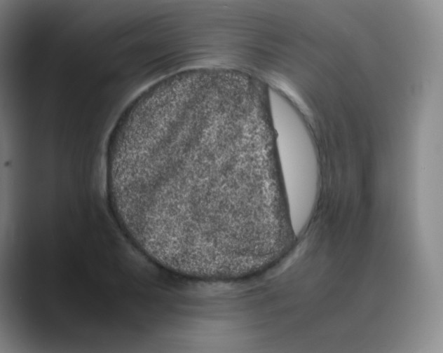 X0000088701079200706282018