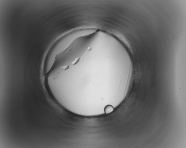 X0000088701080200706282018