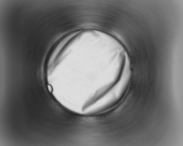 X0000088701082200706282018