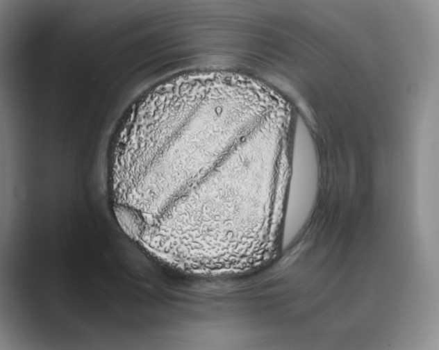 X0000088701083200706282018