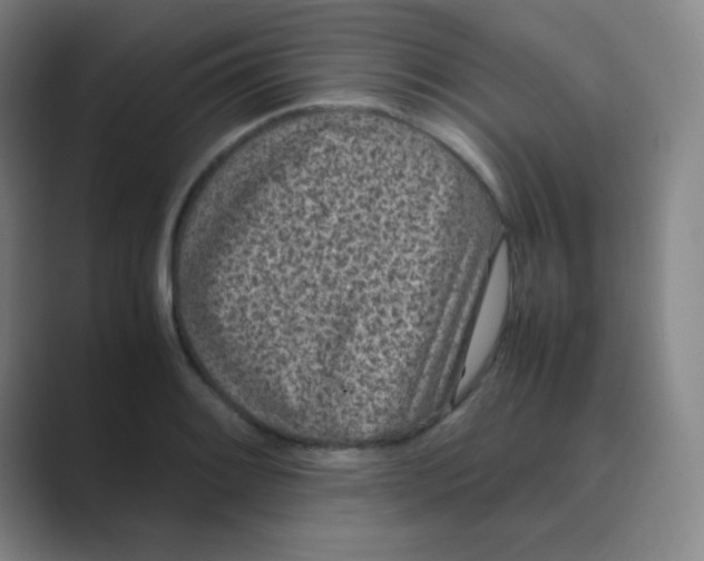 X0000088701084200706282018