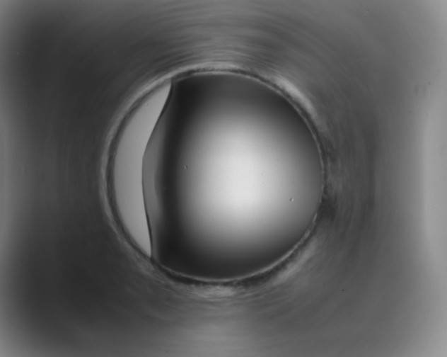 X0000088701085200706282018