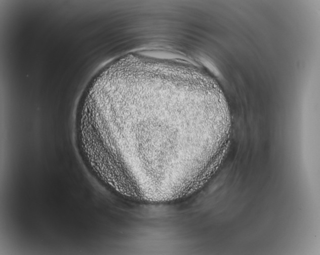 X0000088701087200706282018