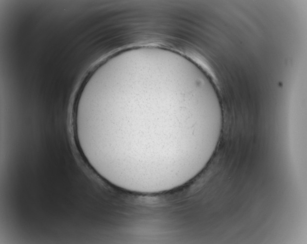 X0000088701088200706282018