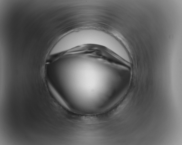 X0000088701089200706282018