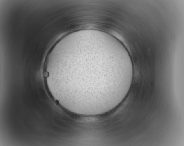 X0000088701090200706282018