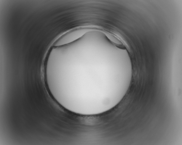 X0000088701092200706282018