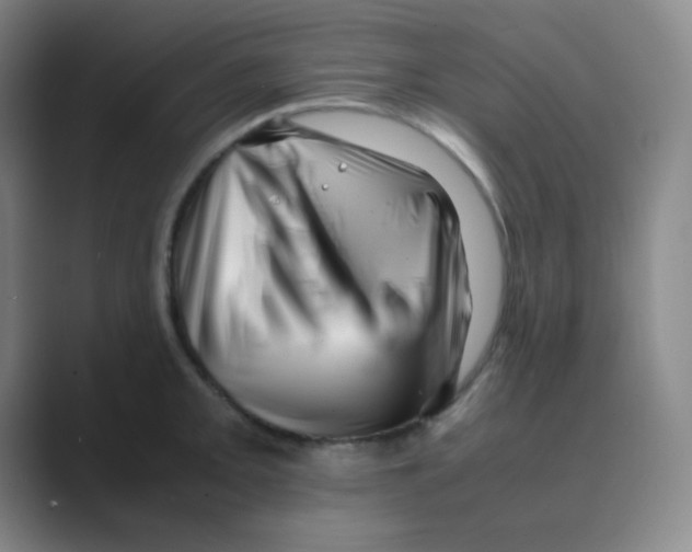 X0000088701093200706282018