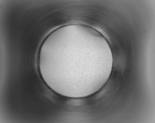 X0000088701094200706282018