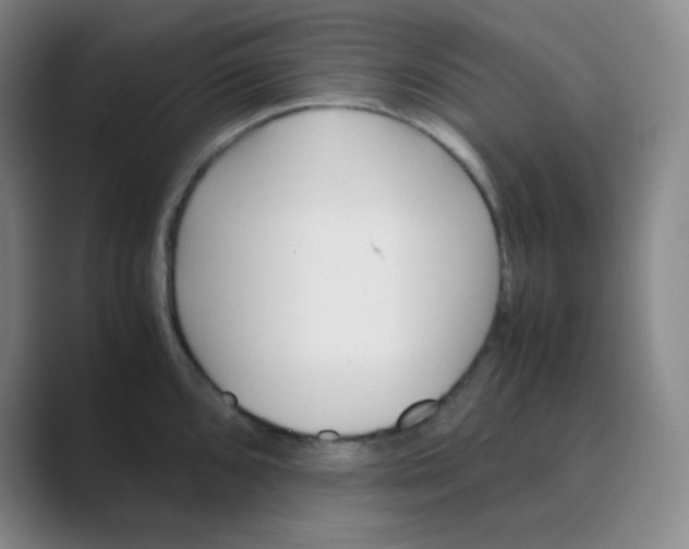 X0000088701096200706282018