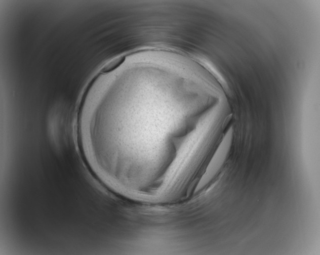 X0000088701100200706282018