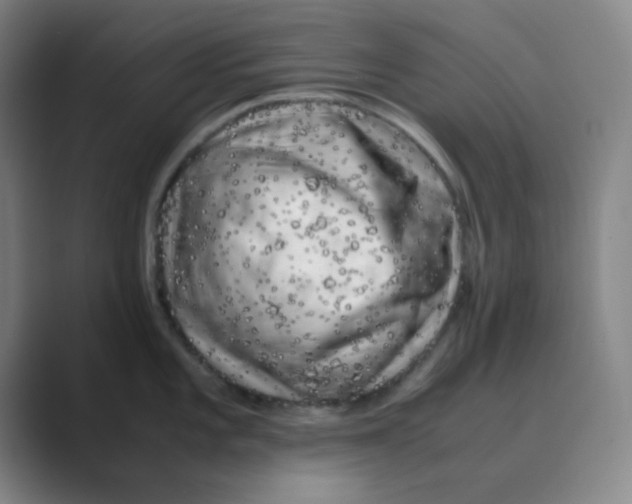 X0000088701101200706282018