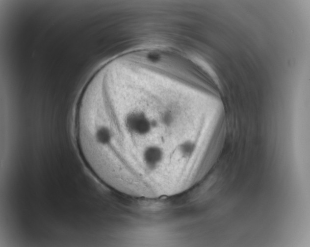 X0000088701103200706282018