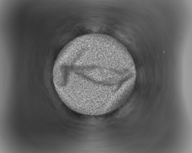 X0000088701105200706282017