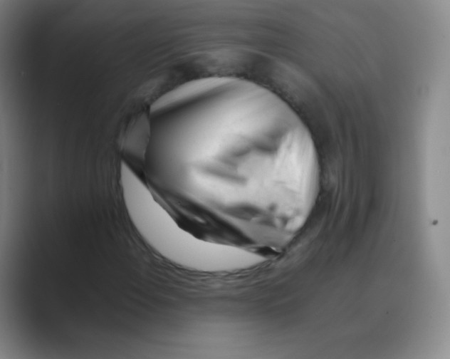 X0000088701108200706282017