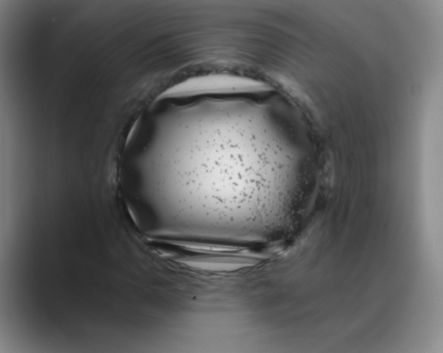 X0000088701110200706282017