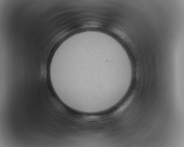 X0000088701113200706282017