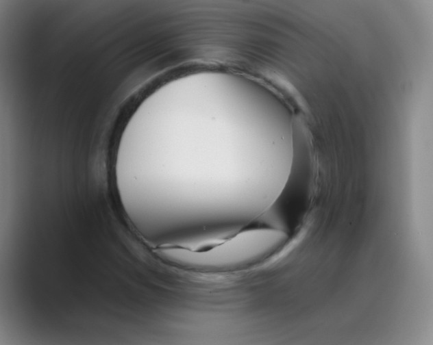 X0000088701114200706282017