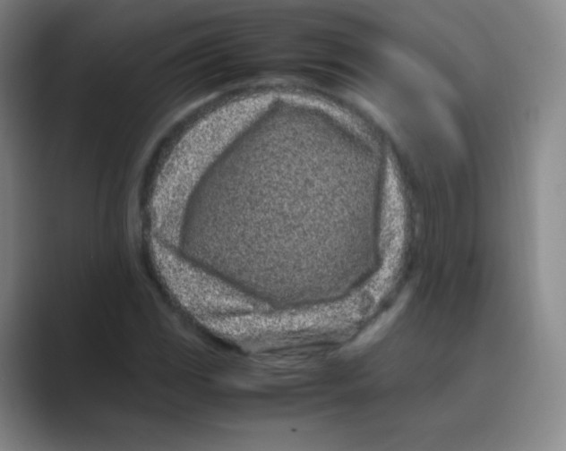 X0000088701117200706282017