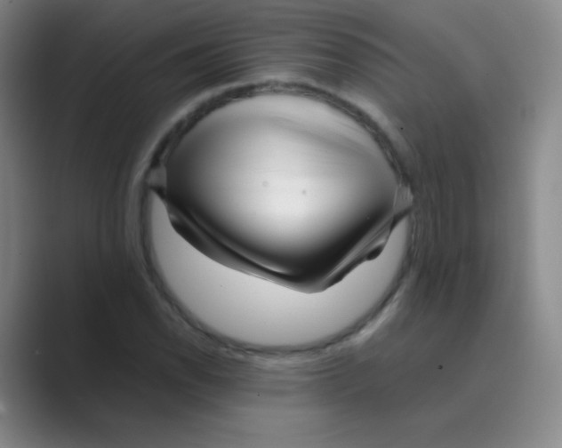 X0000088701118200706282017