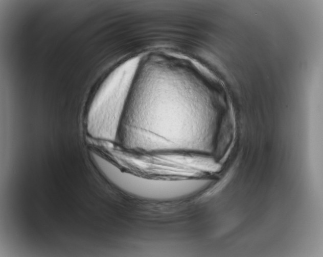 X0000088701121200706282017