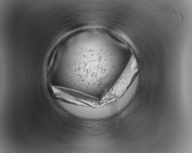 X0000088701124200706282017