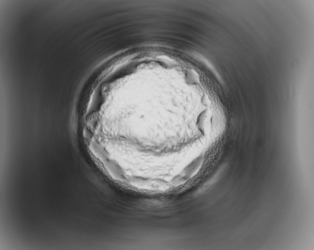 X0000088701125200706282017