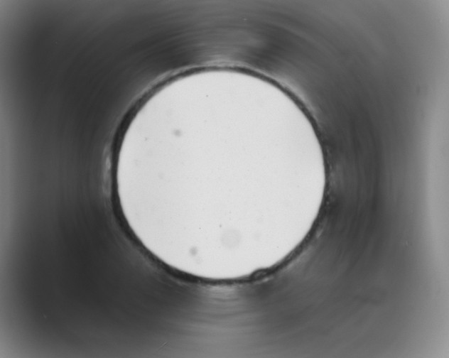 X0000088701126200706282017