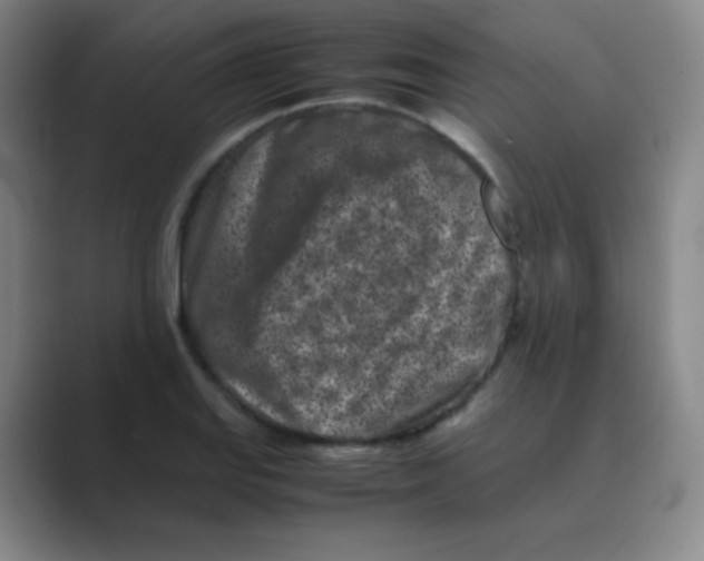 X0000088701127200706282017