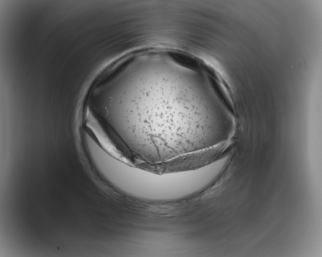 X0000088701128200706282017