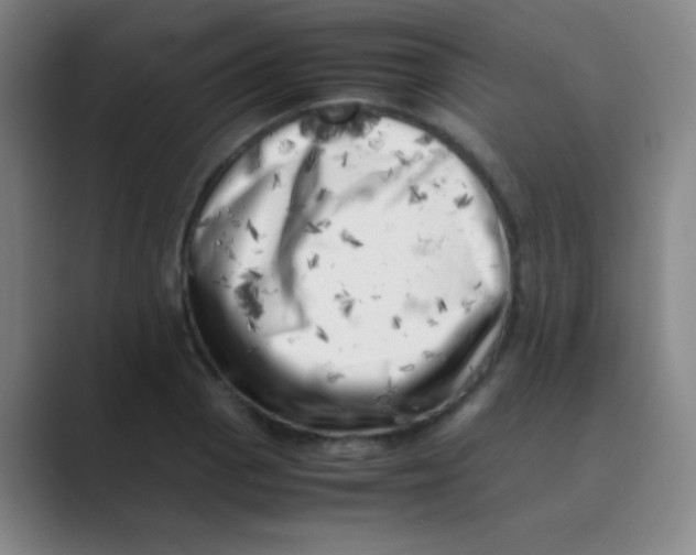 X0000088701129200706282017