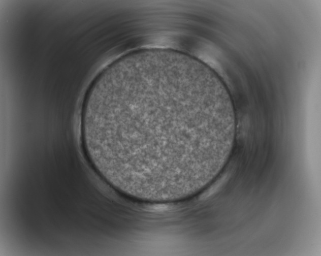 X0000088701130200706282017