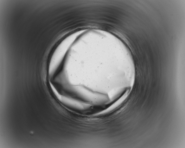 X0000088701131200706282017