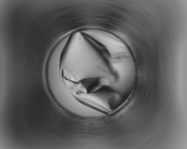 X0000088701133200706282018