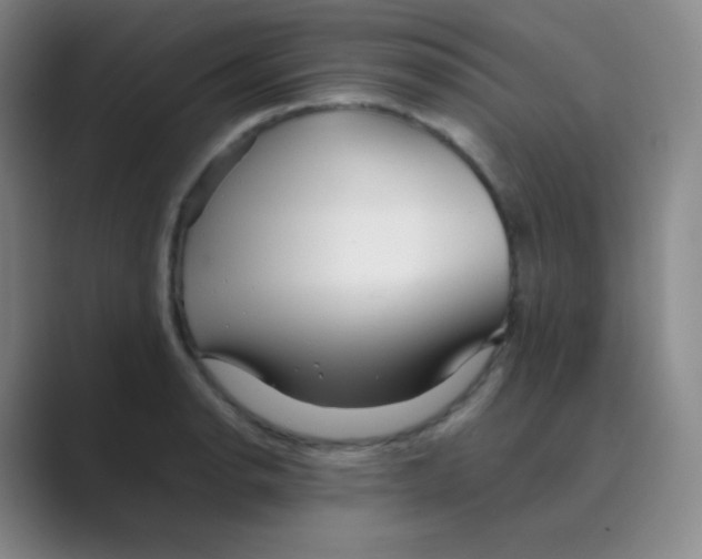 X0000088701134200706282018