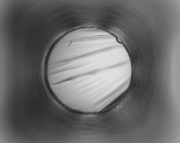 X0000088701135200706282018