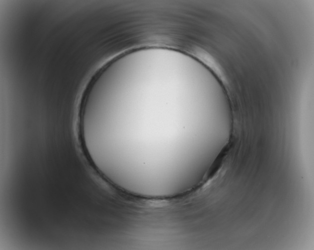 X0000088701136200706282018