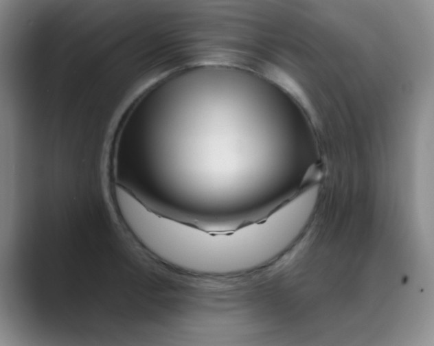 X0000088701138200706282018