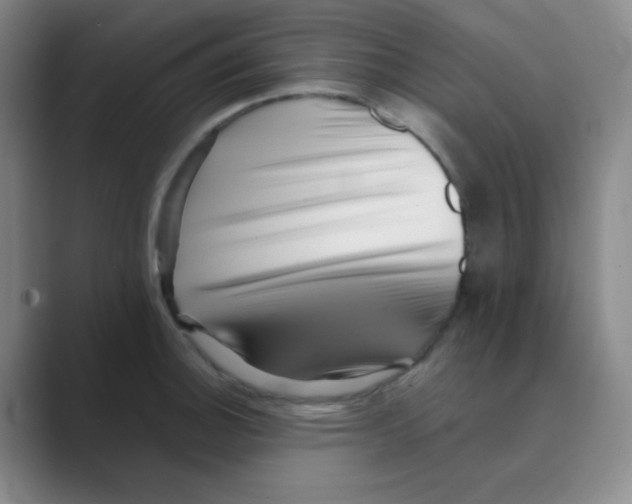 X0000088701140200706282018